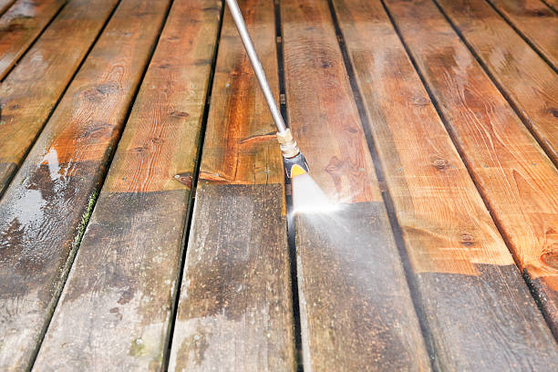 Best Soft Washing for Delicate Surfaces in Scaggsville, MD